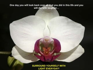 One day you will look back over all that you did in this life and you will die with laughter… SURROUND YOURSELF WITH LIGHT EVERYDAY ! 