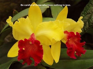 Be careful of those who have nothing to lose. 