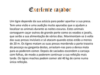 Excelente caçadorUm tigre depende da sua astúcia para poder apanhar a sua presa. Tem uma visão e uma audição muito apuradas que o ajudam a localizar os animais durante as noites escuras. Estes animais conseguem caçar outros de grande porte como os veados e javalis, que serão a sua alimentação de vários dias. Movimentam-se à volta das suas presas invisíveis e só atacam quando estas estão a menos de 20 m. Os tigres matam as suas presas mordendo a parte traseira do pescoço ou garganta destas, arrastam-nas para a densa mata para as poderem comer. Depois de saciados escondem a carcaça com folhas, de modo a poderem continuar a sua refeição mais tarde. Os tigres machos podem comer até 40 kg de carne numa única refeição. 