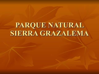 PARQUE NATURAL SIERRA GRAZALEMA 