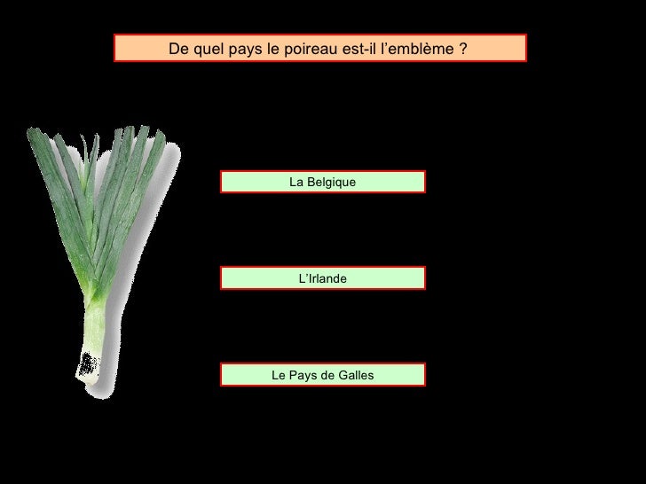 Pourquoi Le Poireau Est L'emblème Du Pays De Galles Pays et emblèmes