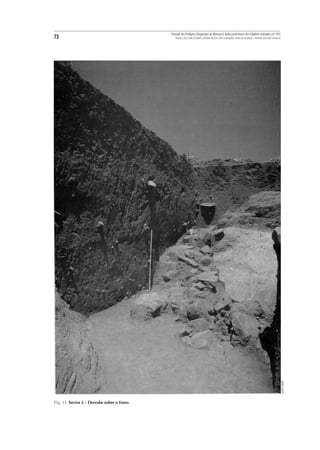 Povoado dos Perdigões (Reguengos de Monsaraz):dados preliminares dos trabalhos realizados em 1997
73                                             MIGUEL LAGO, CIDÁLIA DUARTE, ANTÓNIO VALERA, JOÃO ALBERGARIA, FRANCISCO ALMEIDA E ANTÓNIO FAUSTINO CARVALHO




                                                                                                                                                             MANUEL RIBEIRO




Fig. 11 Sector 5 – Derrube sobre o fosso.
 