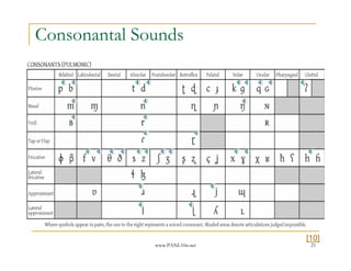 www.PANL10n.net 21
Consonantal Sounds
[10]
 