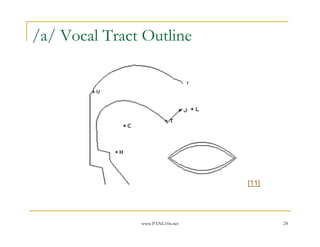 www.PANL10n.net 24
/a/ Vocal Tract Outline
[11]
 