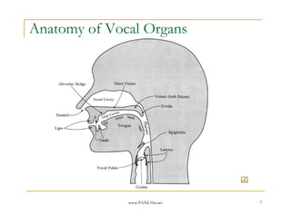 www.PANL10n.net 7
Anatomy of Vocal Organs
[2]
 