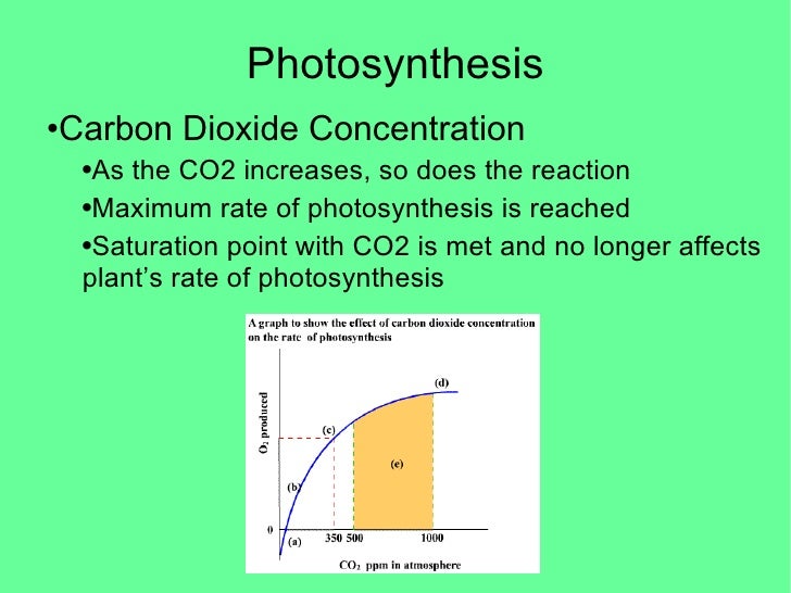 Photosynthesis