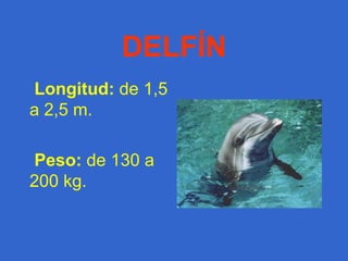 ELEFANTE Peso:  desde 4.500 hasta 6.000kg. Longitud:  7m. Y de alzada de 3 a 4 m. 