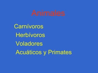 Animales Carnívoros Herbívoros 