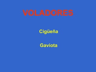 Peso:  Entre 3 y 6 kg. 