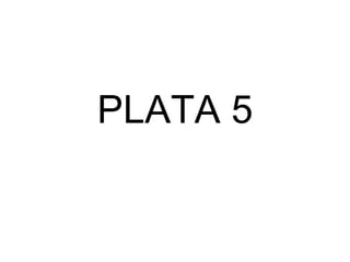 PLATA 5 