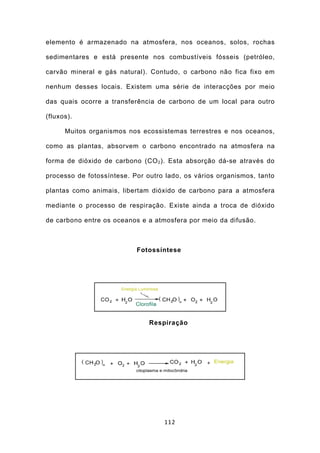 elemento é armazenado na atmosfera, nos oceanos, solos, rochas

sedimentares e está presente nos combustíveis fósseis (petróleo,

carvão mineral e gás natural). Contudo, o carbono não fica fixo em

nenhum desses locais. Existem uma série de interacções por meio

das quais ocorre a transferência de carbono de um local para outro

(fluxos).

      Muitos organismos nos ecossistemas terrestres e nos oceanos,

como as plantas, absorvem o carbono encontrado na atmosfera na

forma de dióxido de carbono (CO 2 ). Esta absorção dá-se através do

processo de fotossíntese. Por outro lado, os vários organismos, tanto

plantas como animais, libertam dióxido de carbono para a atmosfera

mediante o processo de respiração. Existe ainda a troca de dióxido

de carbono entre os oceanos e a atmosfera por meio da difusão.



                           Fotossíntese




                               Respiração




                                   112
 