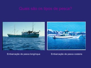 Quais são os tipos de pesca?
Embarcação de pesca longínqua Embarcação de pesca costeira
 