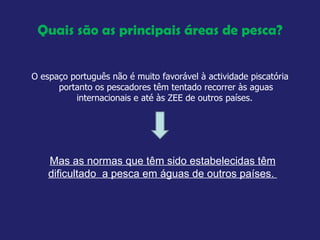 Quais são as principais áreas de pesca? O espaço português não é muito favorável à actividade piscatória portanto os pescadores têm tentado recorrer às aguas internacionais e até às ZEE de outros países.  Mas as normas que têm sido estabelecidas têm dificultado  a pesca em águas de outros países.  