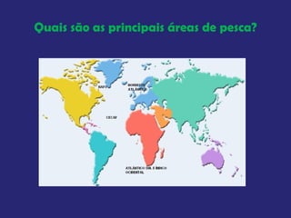 Quais são as principais áreas de pesca? 