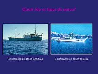 Quais são os tipos de pesca? Embarcação de pesca longínqua  Embarcação de pesca costeira   