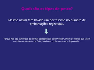 Quais são os tipos de pesca? Mesmo assim tem havido um decréscimo no número de embarcações registadas. Porque não são cumpridas as normas estabelecidas pela Politica Comum de Pescas que visam o redimensionamento da frota, tendo em conta os recursos disponíveis.  