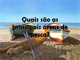 Quais são as principais áreas de pesca? 