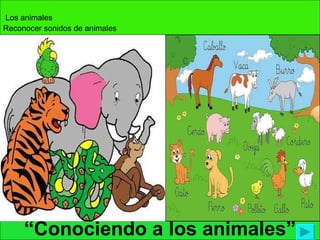 “ Conociendo a los animales” Los animales Reconocer sonidos de animales 