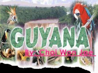 Guyana By: Choi Won Jae By: Choi Won Jae  