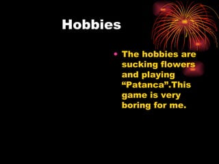 Hobbies The hobbies are sucking flowers and playing “Patanca”.This game is very boring for me. 