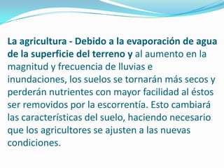 La agricultura - Debido a la evaporación de agua de la superficie del terreno y al aumento en la magnitud y frecuencia de lluvias e inundaciones, los suelos se tornarán más secos y perderán nutrientes con mayor facilidad al éstos ser removidos por la escorrentía. Esto cambiará las características del suelo, haciendo necesario que los agricultores se ajusten a las nuevas condiciones.