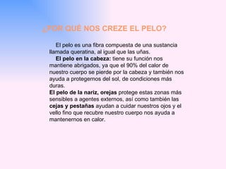 ¿POR QUÉ NOS CREZE EL PELO? El pelo   es una fibra compuesta de una sustancia llamada queratina, al igual que las uñas. El pelo en la cabeza:  tiene su función nos mantiene abrigados, ya que el 90% del calor de nuestro   cuerpo se pierde por la cabeza y también nos ayuda a protegernos del sol, de condiciones más duras. El pelo de la nariz, orejas  protege   estas zonas más sensibles a agentes externos, así como también las  cejas y pestañas  ayudan a cuidar nuestros ojos y el vello fino que recubre nuestro cuerpo nos ayuda a mantenernos en calor.  