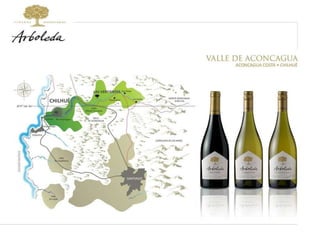 LAS VERTIENTES CHILHUÉ 