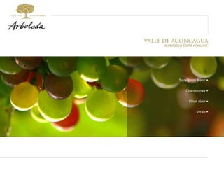 Sauvignon Blanc • Chardonnay • Pinot Noir • Syrah • 