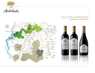 LAS VERTIENTES CHILHUÉ 