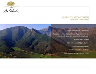 Single Vineyard en Aconcagua • 80% de tierra virgen • Recibe el nombre “Las Vertientes” por las vertientes naturales de agua que nacen en la propiedad • Sólo 127 ha. de 850 plantadas • Viticultura sustentable • 40 Kms. del Océano Pacífico • Plantados por primera vez en 1999 • 