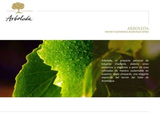 Arboleda, el proyecto personal de Eduardo Chadwick, elabora vinos exclusivos y elegantes a partir de uvas cultivadas de manera sustentable en nuestros single vineyards, una elegante expresión del terroir del Valle de Aconcagua. 