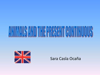 Sara Casla Ocaña  ANIMALS AND THE PRESENT CONTINUOUS 