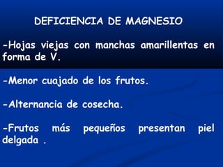 DEFICIENCIA DE MAGNESIO
-Hojas viejas con manchas amarillentas en
forma de V.
-Menor cuajado de los frutos.
-Alternancia de cosecha.
-Frutos más pequeños presentan piel
delgada .
 