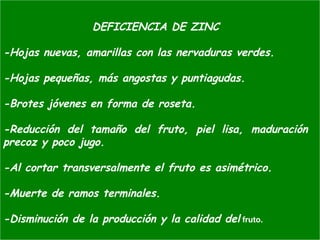 DEFICIENCIA DE ZINC
-Hojas nuevas, amarillas con las nervaduras verdes.
-Hojas pequeñas, más angostas y puntiagudas.
-Brotes jóvenes en forma de roseta.
-Reducción del tamaño del fruto, piel lisa, maduración
precoz y poco jugo.
-Al cortar transversalmente el fruto es asimétrico.
-Muerte de ramos terminales.
-Disminución de la producción y la calidad del fruto.
 