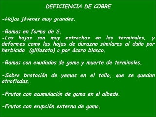 DEFICIENCIA DE COBRE
-Hojas jóvenes muy grandes.
-Ramas en forma de S.
-Las hojas son muy estrechas en las terminales, y
deformes como las hojas de durazno similares al daño por
herbicida (glifosato) o por ácaro blanco.
-Ramas con exudados de goma y muerte de terminales.
-Sobre brotación de yemas en el tallo, que se quedan
atrofiadas.
-Frutos con acumulación de goma en el albedo.
-Frutos con erupción externa de goma.
 