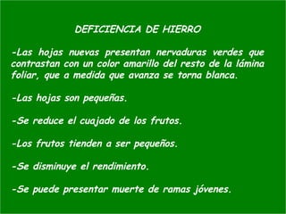 DEFICIENCIA DE HIERRO
-Las hojas nuevas presentan nervaduras verdes que
contrastan con un color amarillo del resto de la lámina
foliar, que a medida que avanza se torna blanca.
-Las hojas son pequeñas.
-Se reduce el cuajado de los frutos.
-Los frutos tienden a ser pequeños.
-Se disminuye el rendimiento.
-Se puede presentar muerte de ramas jóvenes.
 