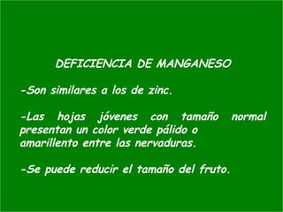 DEFICIENCIA DE MANGANESO
-Son similares a los de zinc.
-Las hojas jóvenes con tamaño normal
presentan un color verde pálido o
amarillento entre las nervaduras.
-Se puede reducir el tamaño del fruto.
 
