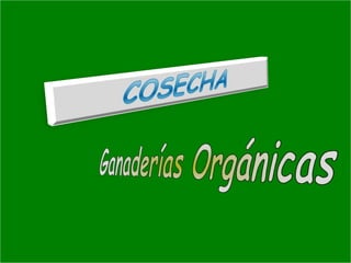 Manejo integrado de Citricos  I