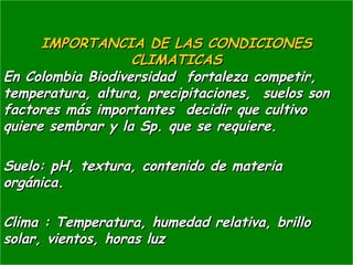 IMPORTANCIA DE LAS CONDICIONESIMPORTANCIA DE LAS CONDICIONES
CLIMATICASCLIMATICAS
En Colombia Biodiversidad fortaleza competir,En Colombia Biodiversidad fortaleza competir,
temperatura, altura, precipitaciones, suelos sontemperatura, altura, precipitaciones, suelos son
factores más importantes decidir que cultivofactores más importantes decidir que cultivo
quiere sembrar y la Sp. que se requiere.quiere sembrar y la Sp. que se requiere.
Suelo: pH, textura, contenido de materiaSuelo: pH, textura, contenido de materia
orgánica.orgánica.
Clima : Temperatura, humedad relativa, brilloClima : Temperatura, humedad relativa, brillo
solar, vientos, horas luz  solar, vientos, horas luz  
 
