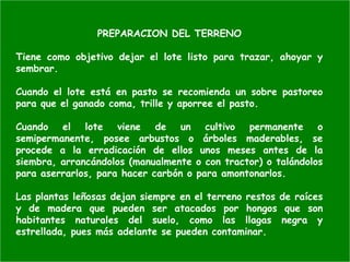 PREPARACION DEL TERRENO
Tiene como objetivo dejar el lote listo para trazar, ahoyar y
sembrar.
Cuando el lote está en pasto se recomienda un sobre pastoreo
para que el ganado coma, trille y aporree el pasto.
Cuando el lote viene de un cultivo permanente o
semipermanente, posee arbustos o árboles maderables, se
procede a la erradicación de ellos unos meses antes de la
siembra, arrancándolos (manualmente o con tractor) o talándolos
para aserrarlos, para hacer carbón o para amontonarlos.
Las plantas leñosas dejan siempre en el terreno restos de raíces
y de madera que pueden ser atacados por hongos que son
habitantes naturales del suelo, como las llagas negra y
estrellada, pues más adelante se pueden contaminar.
 