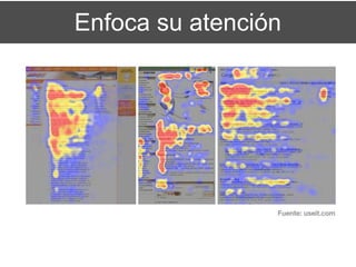 Enfoca su atención
 
