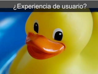 ¿Experiencia de usuario?
 