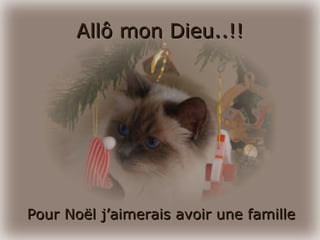 Allô mon Dieu..!! Pour Noël j’aimerais avoir une famille 
