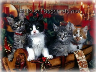 Et ils ont besoin de moi 