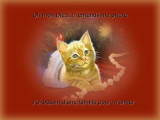 Priere De Noel D Un Chat