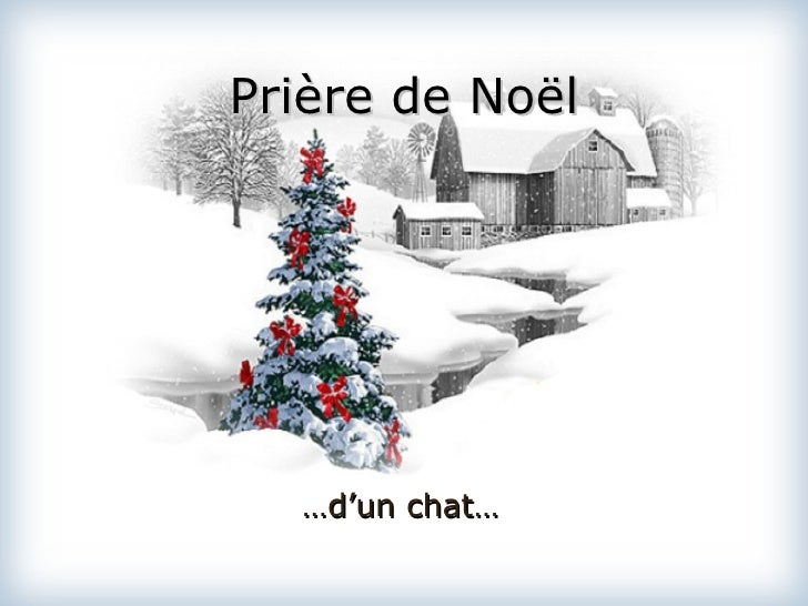 Priere De Noel D Un Chat Priere De Noel D Un Chat