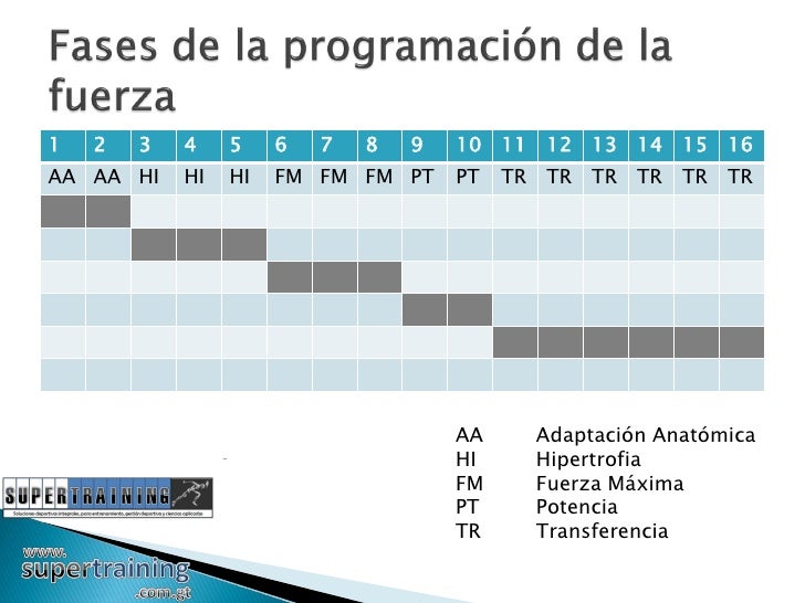 Programación Del Entrenamiento De Fuerza