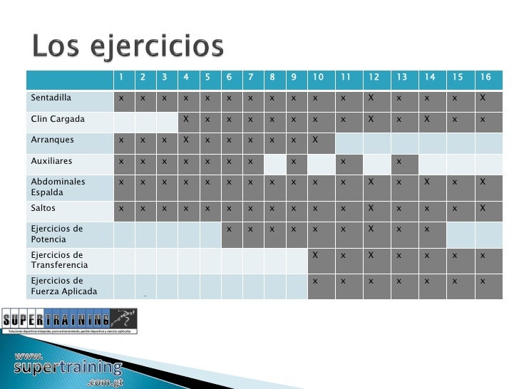 Programación Del Entrenamiento De Fuerza