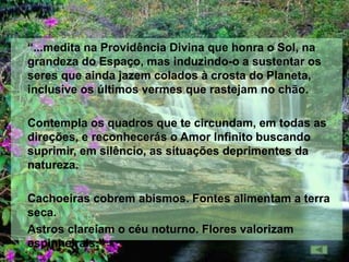 “...medita na Providência Divina que honra o Sol, na
grandeza do Espaço, mas induzindo-o a sustentar os
seres que ainda jazem colados à crosta do Planeta,
inclusive os últimos vermes que rastejam no chão.

Contempla os quadros que te circundam, em todas as
direções, e reconhecerás o Amor Infinito buscando
suprimir, em silêncio, as situações deprimentes da
natureza.

Cachoeiras cobrem abismos. Fontes alimentam a terra
seca.
Astros clareiam o céu noturno. Flores valorizam
espinheirais.”
 