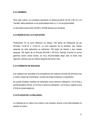 C:\fakepath\proyecto final de estadistica